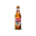 Kingfisher Premium Lager Beer 330 mL 4,5% vol