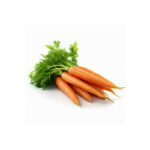 Carrot